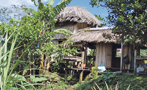 Das Zuhause von Familie Kluibenschedl in Kolumbien. © privat