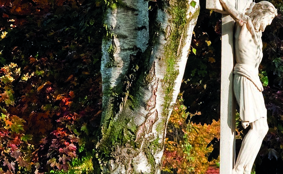 Barbarafriedhof Linz / Foto Fleischmann Praxistag Friedhof, Wolfsegg am Hausruck